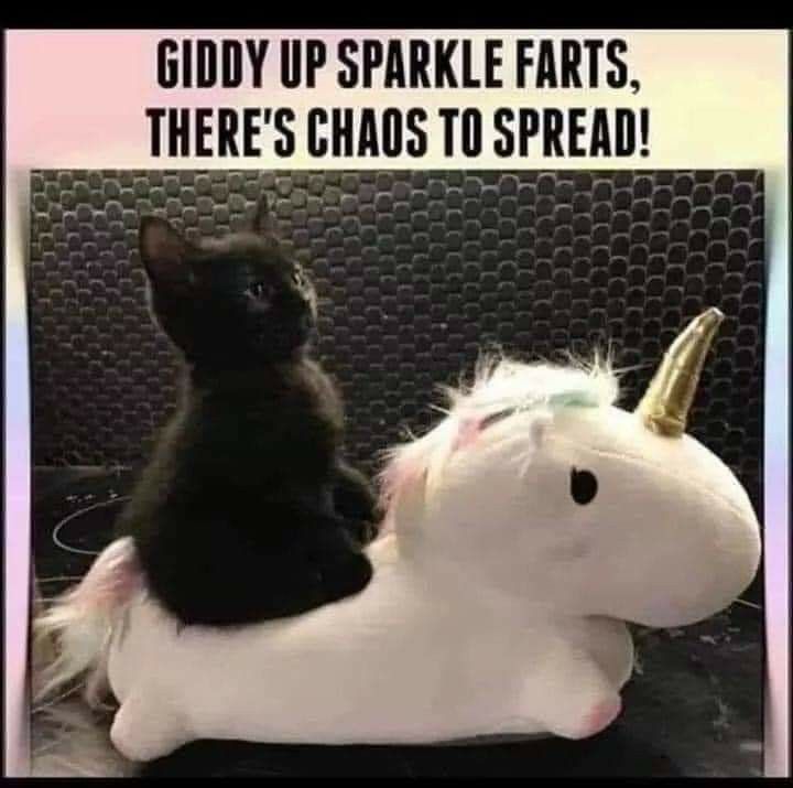 Pinterest 373376625361420073